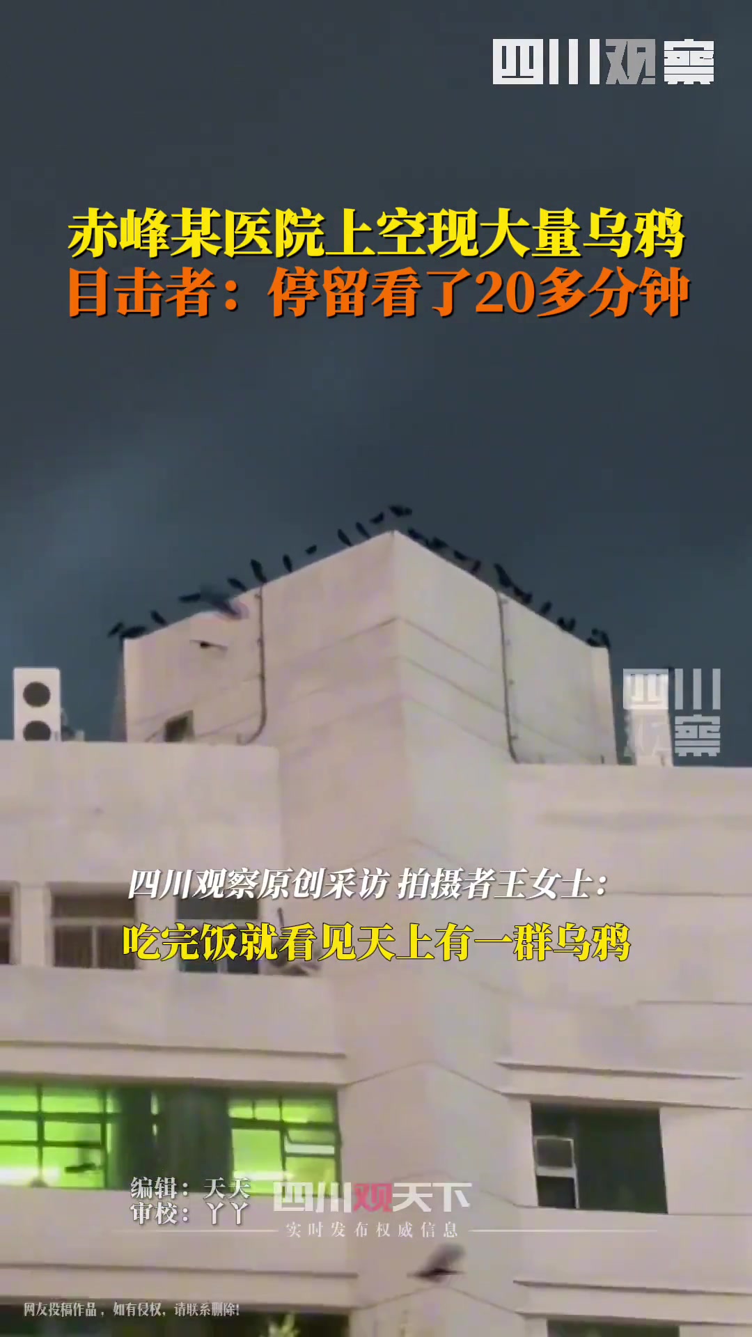 某医院上空突然出现大量乌鸦