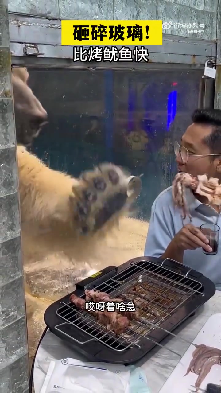 北极熊：先打开门，其他好说！！
