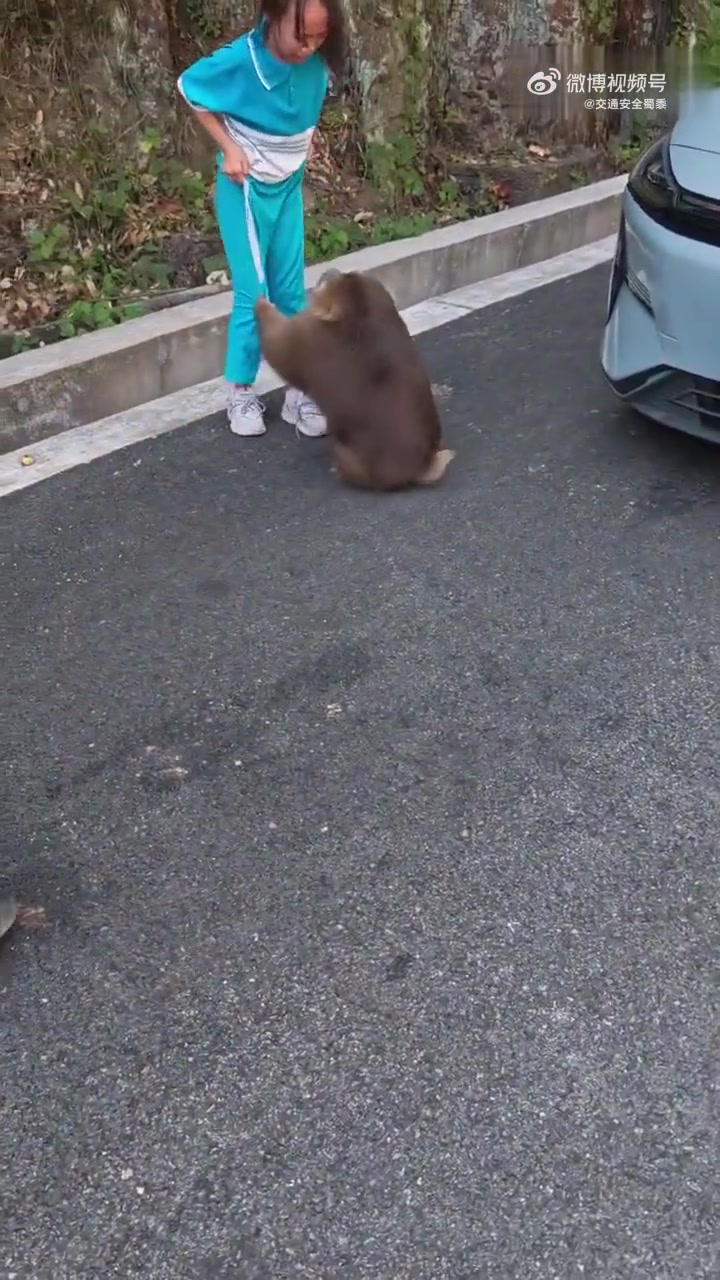 网友：孩子被猴子撕扯的哇哇哭，不清楚孩子家长在干嘛