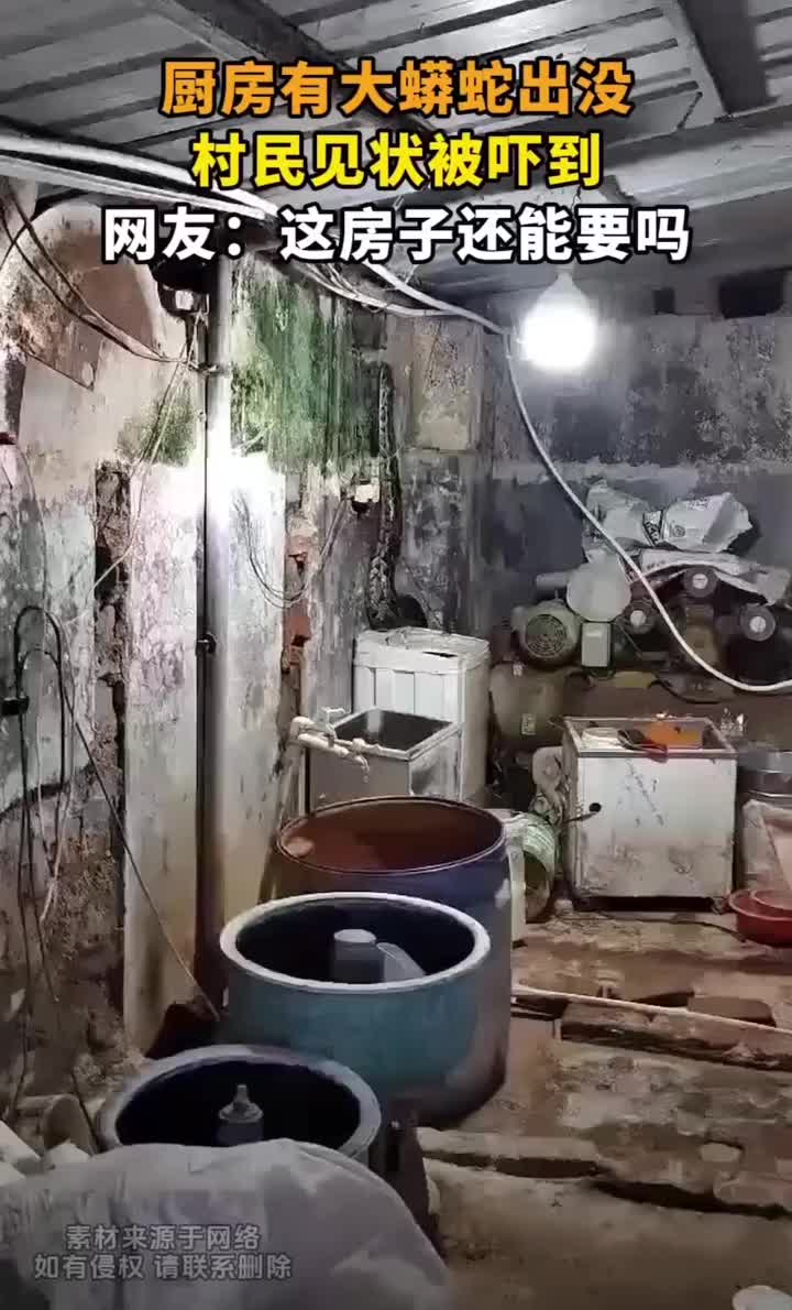 家里出现一条大蟒蛇，这房子还敢住嘛