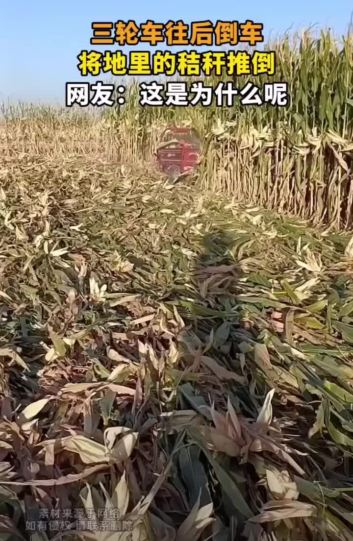 将地里的秸秆推倒是为了啥