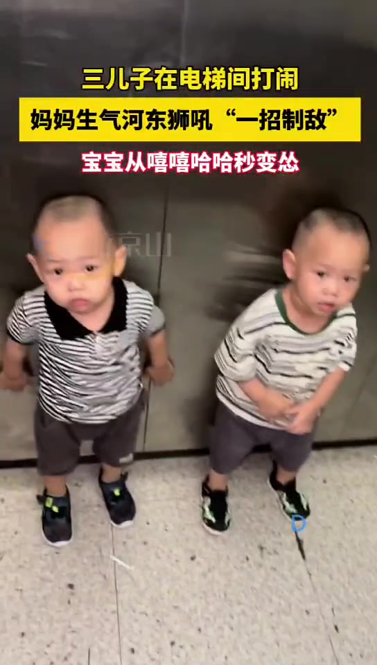 儿子电梯间打闹妈妈河东狮吼一招制敌