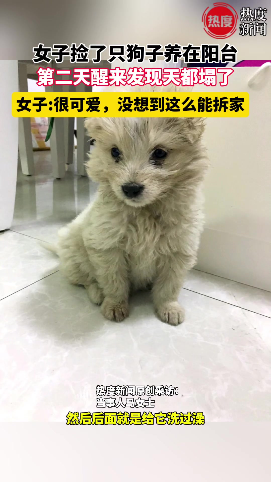 女子捡了只狗子养在阳台，第二天醒来发现天都塌了