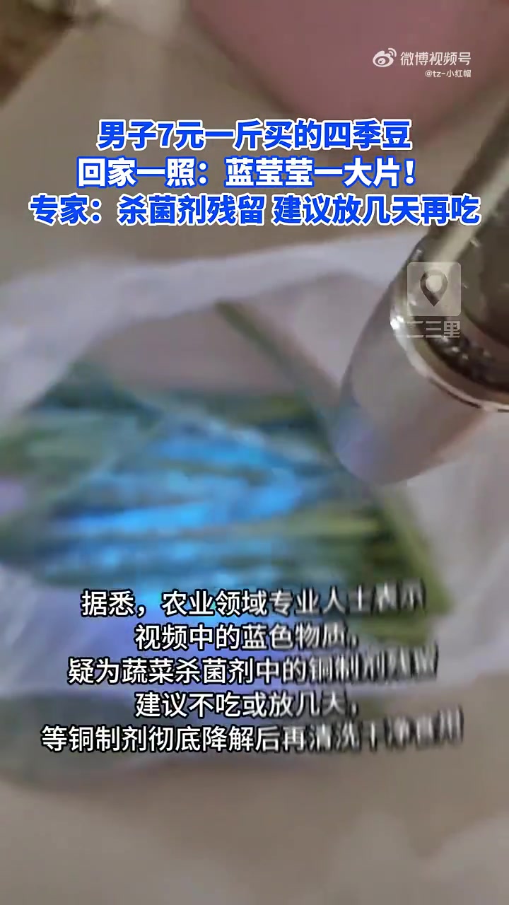 男子7元一斤买的四季豆，回家一照：蓝莹莹一大片