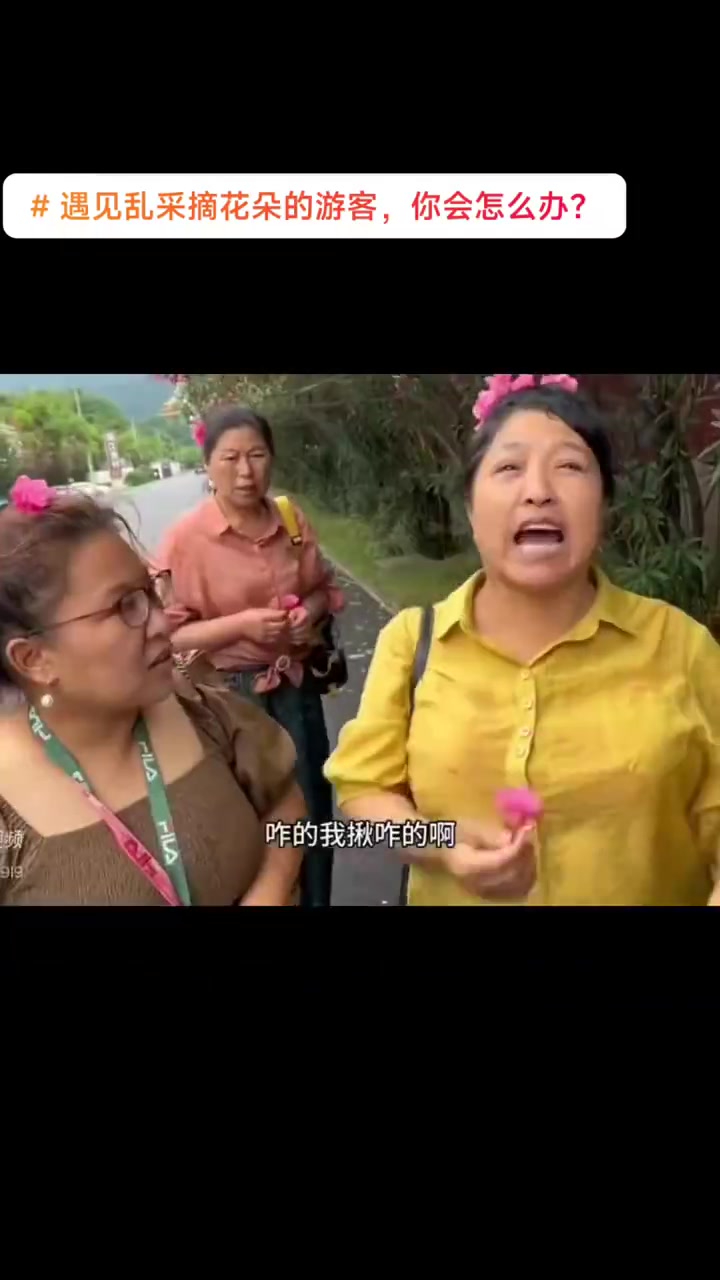 夹竹桃有毒，回家头皮烂了又找谁赔
