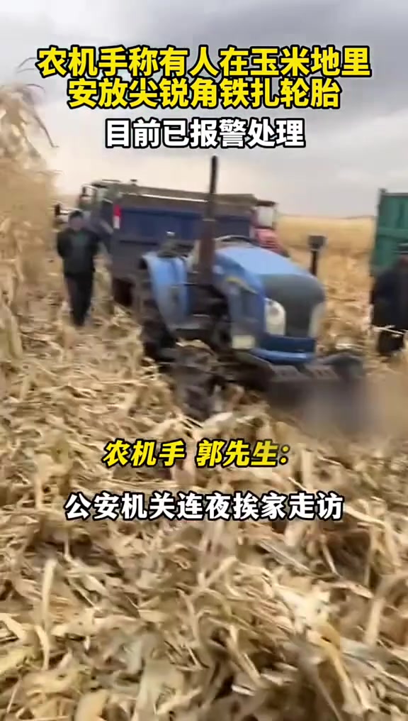 不是同行就是修车干的