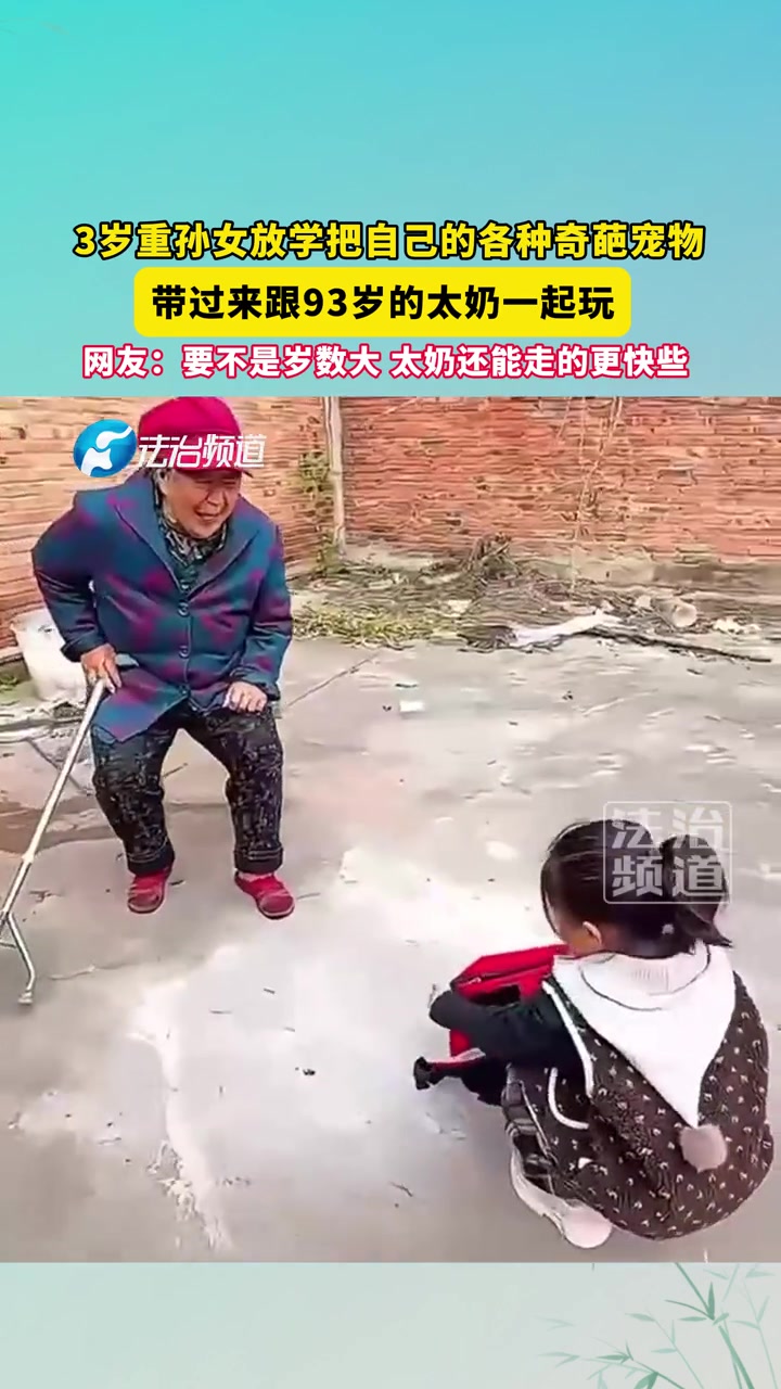 3岁重孙女放学把自己的各种奇葩宠物，带过来跟93岁的太奶一起玩