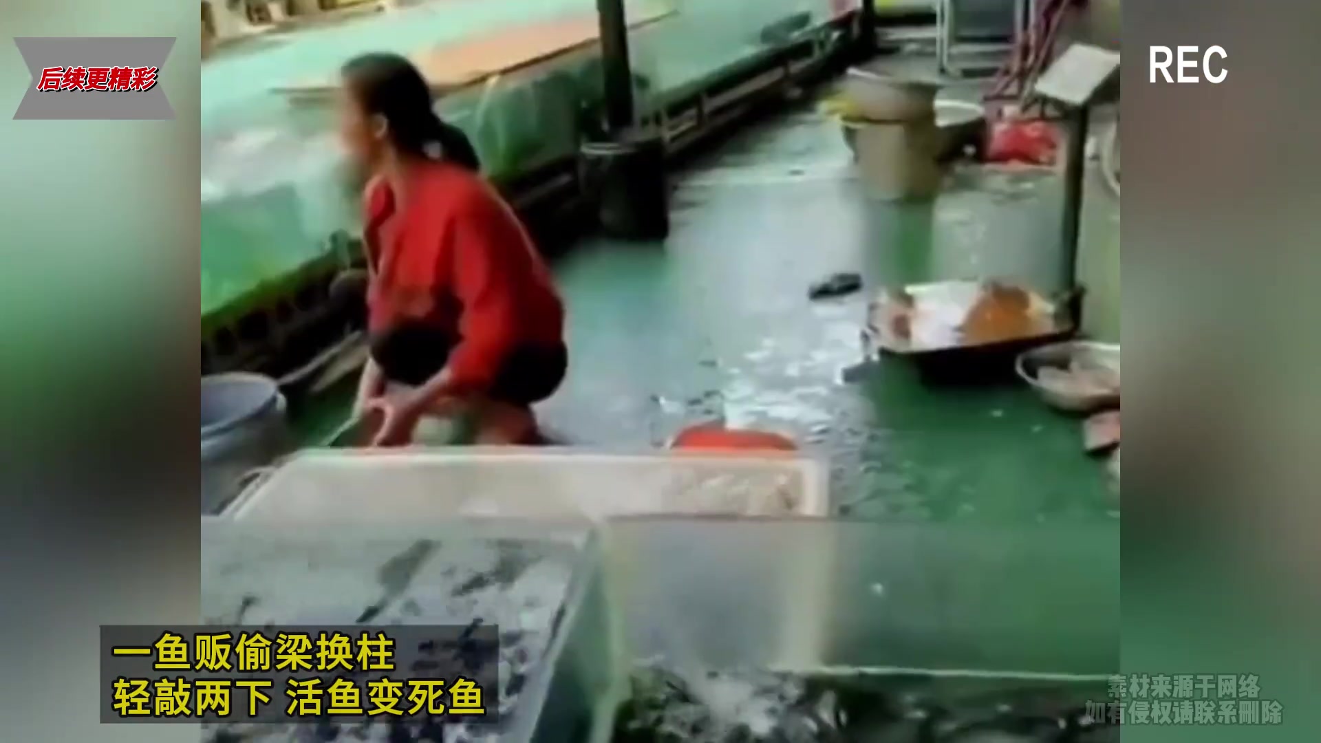 鱼贩偷梁换柱轻轻敲两下，活鱼变死鱼