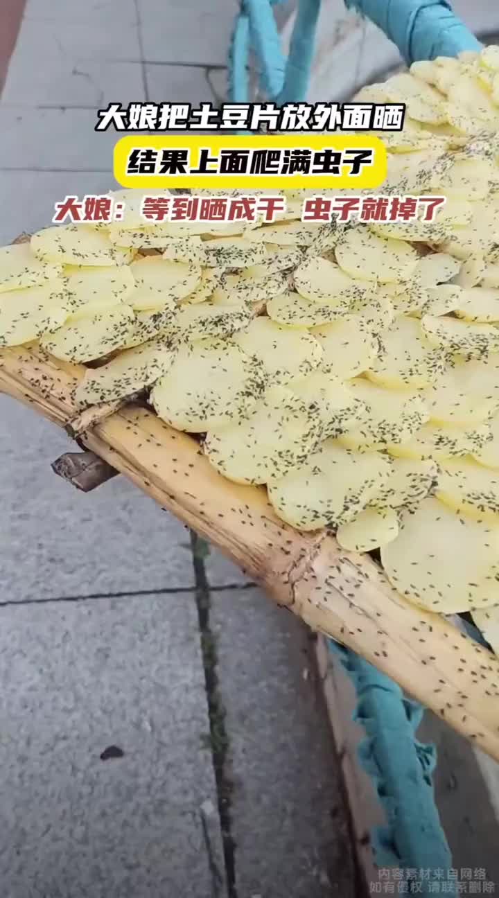 土豆片放外边晒，再一看上面爬满了虫子
