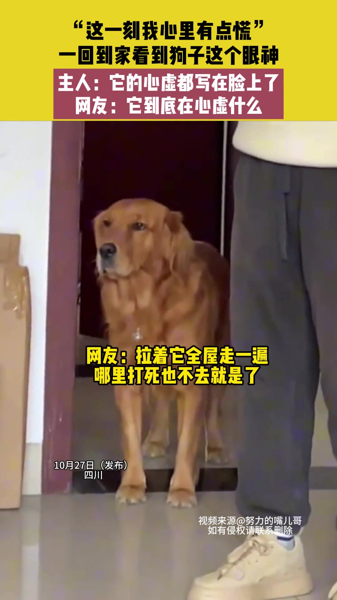 他的心虚都写在脸上了