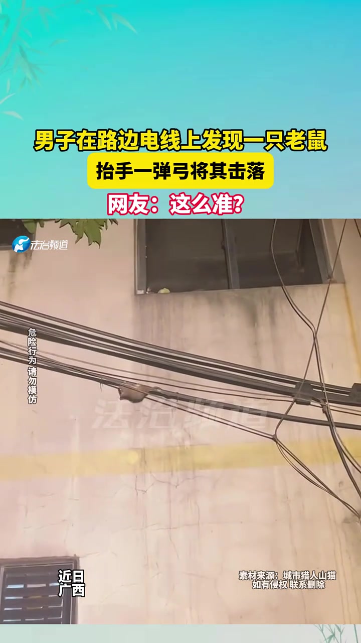男子在路边电线上发现一只老鼠，抬手一弹弓将其击落！