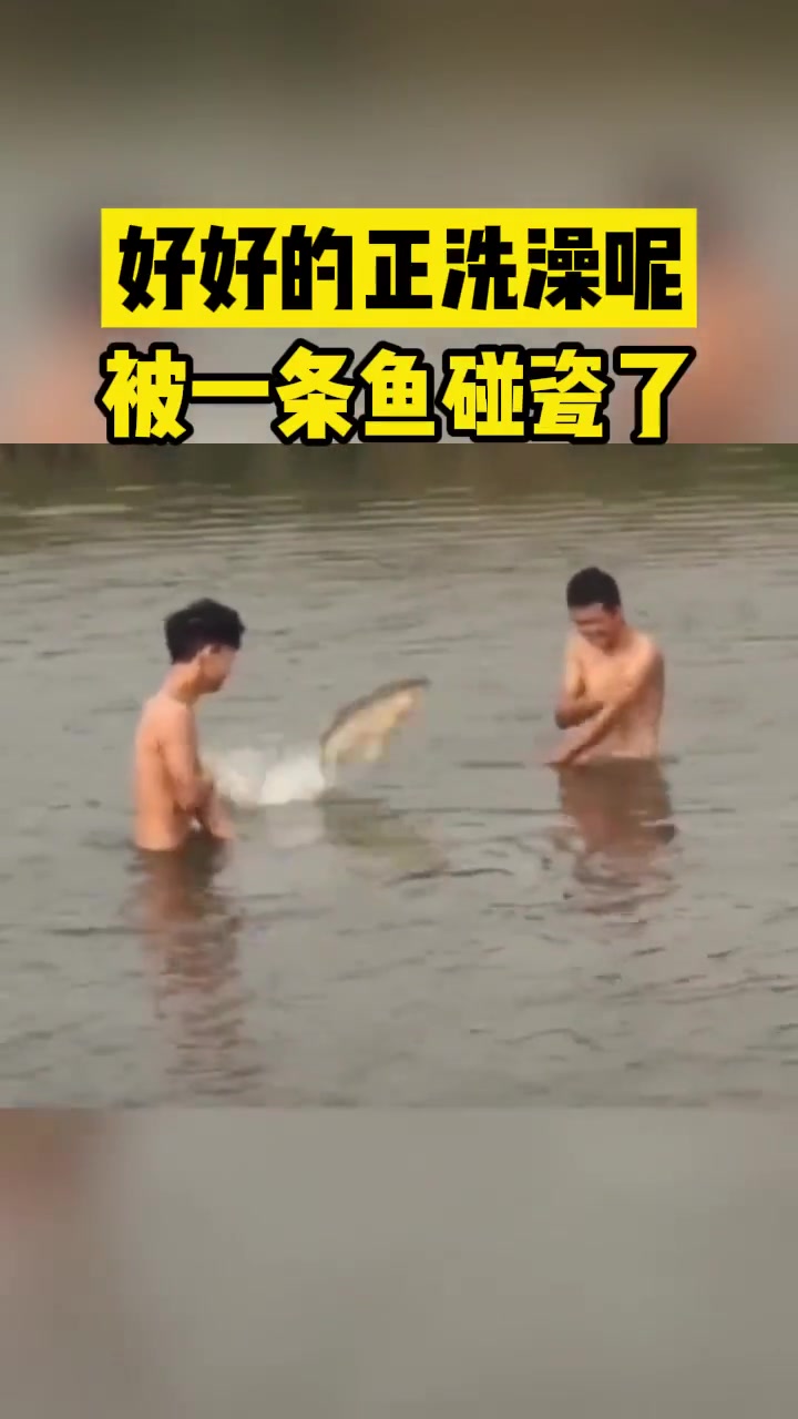 好好的正洗澡呢被一条鱼碰瓷了