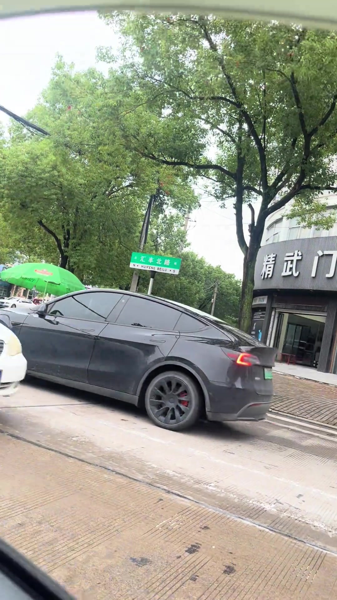 勇敢的狗先享受世界