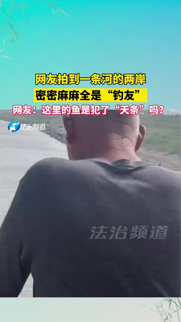一条河的两岸密密麻麻全是“钓友”这里的鱼是犯了“天条”吗