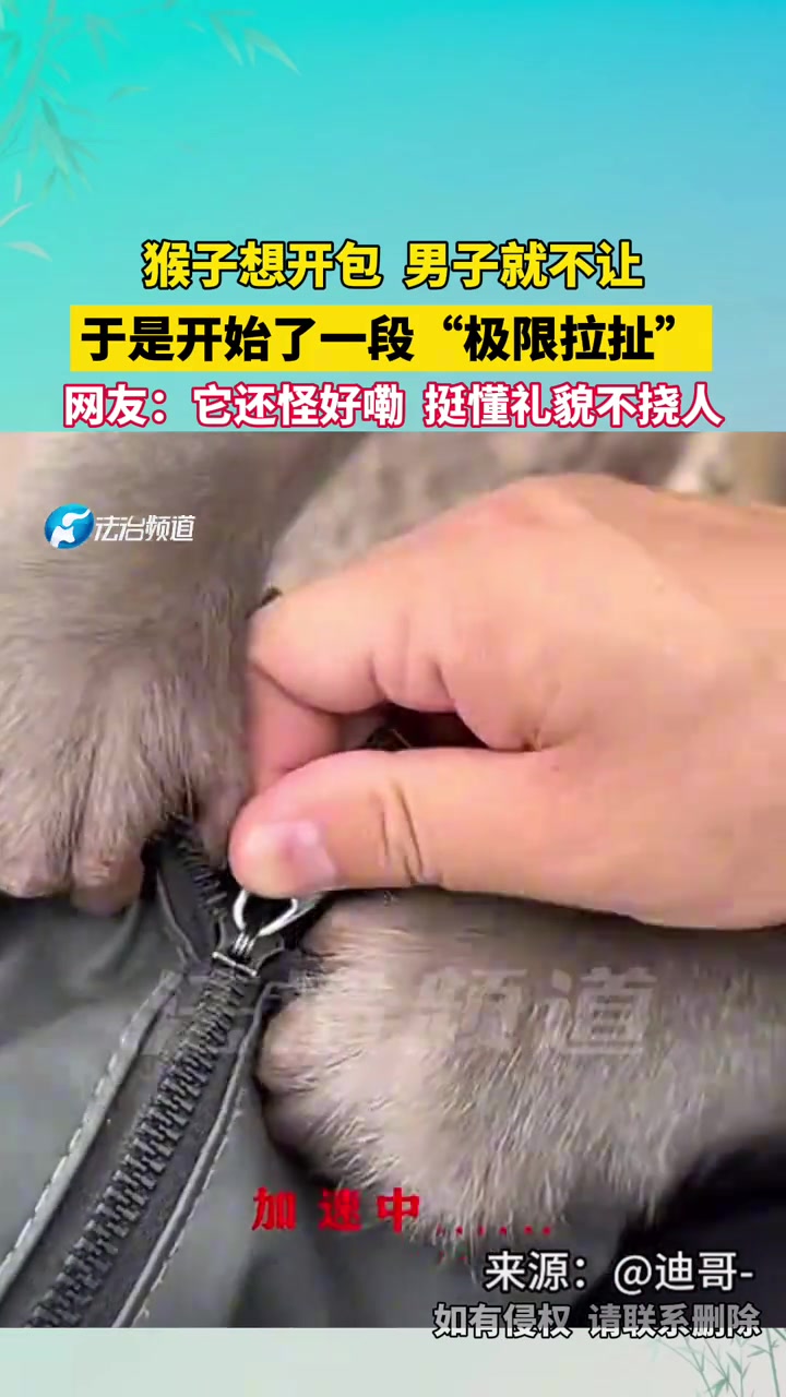 猴子想开包男子就不让，于是开始了一段“极限拉扯”