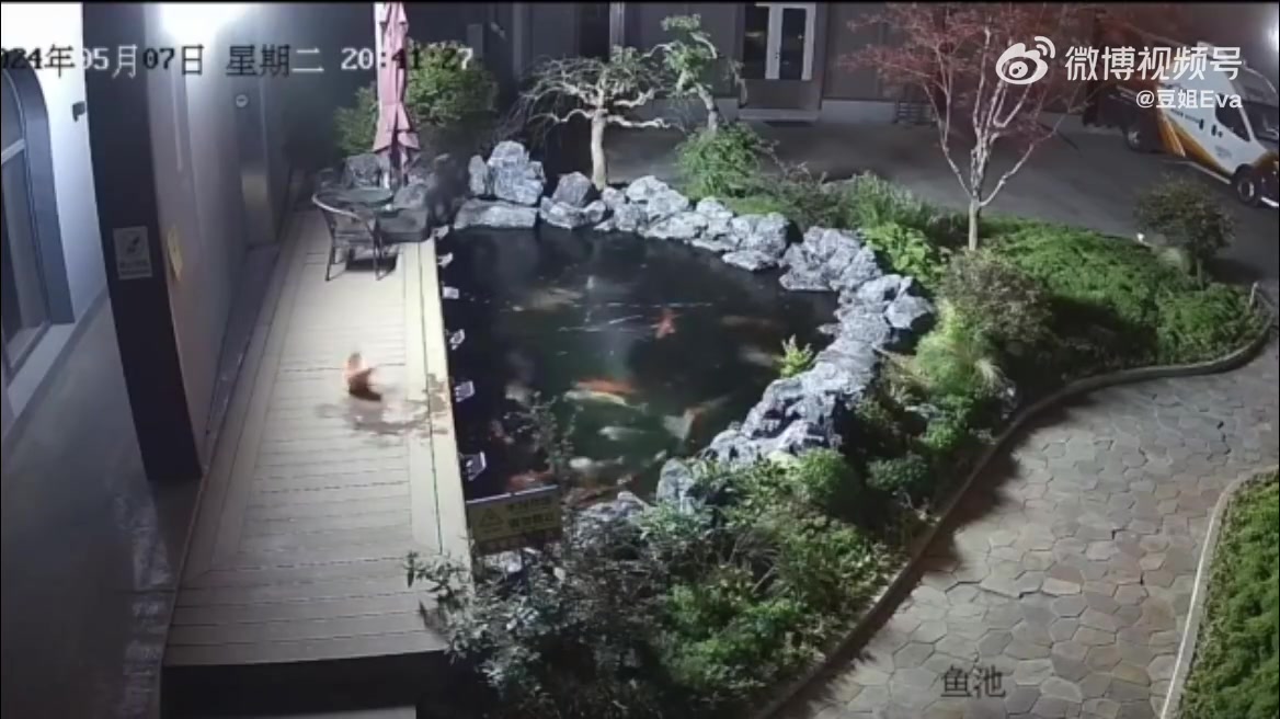 房东以为是谁在敲门，打开门却发现没人，然后就去调监控！