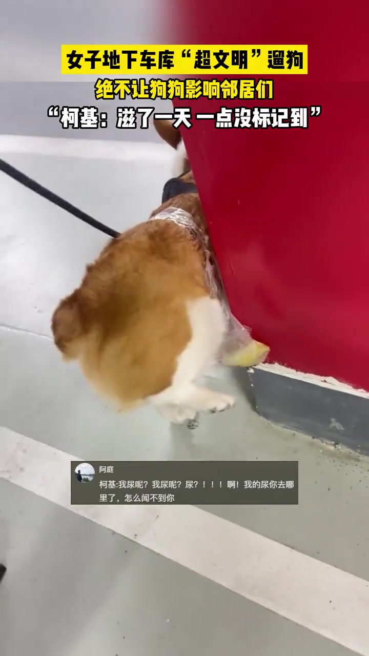 女子地下车库超文明遛狗