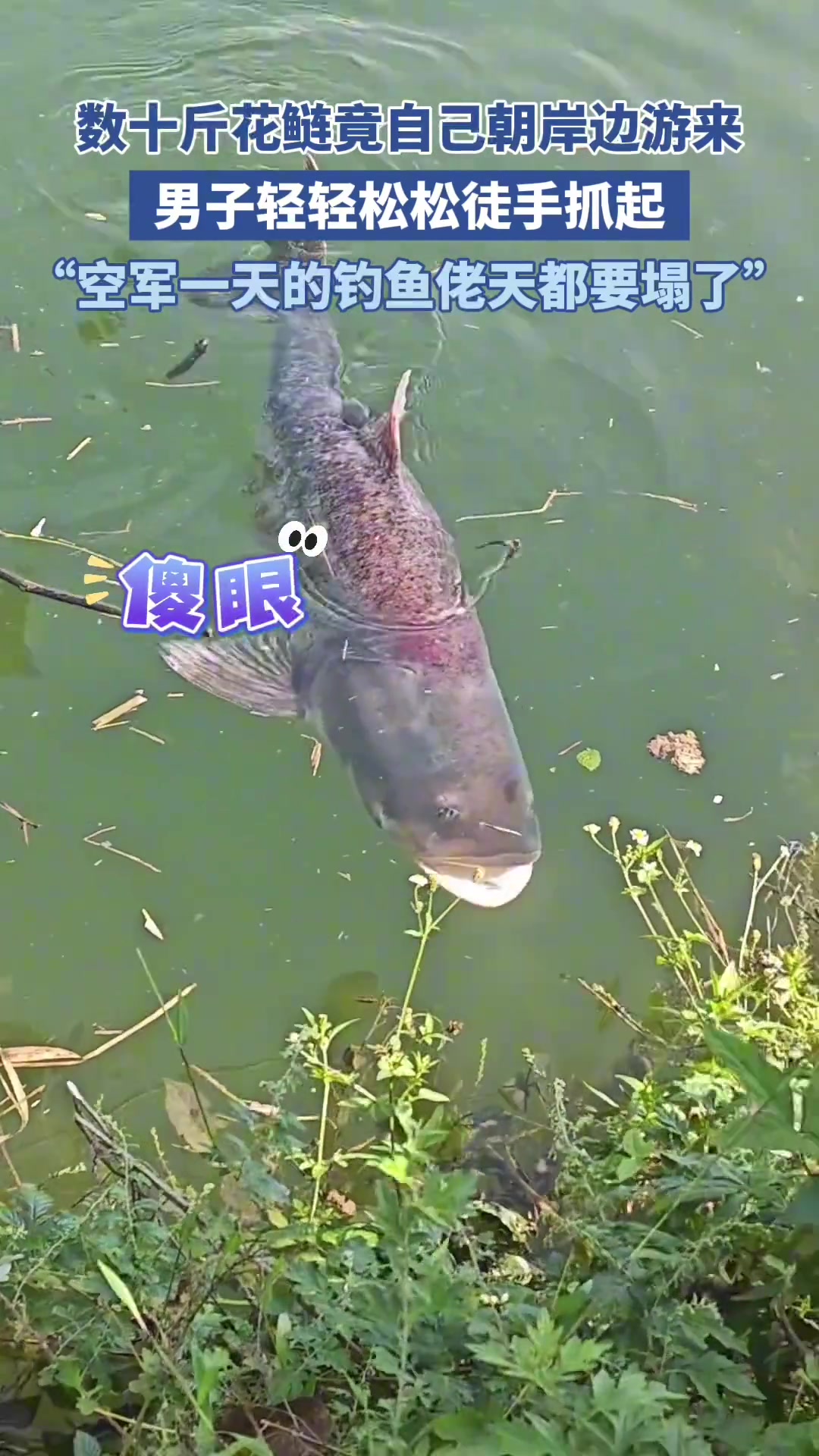 这个鱼应该生病了