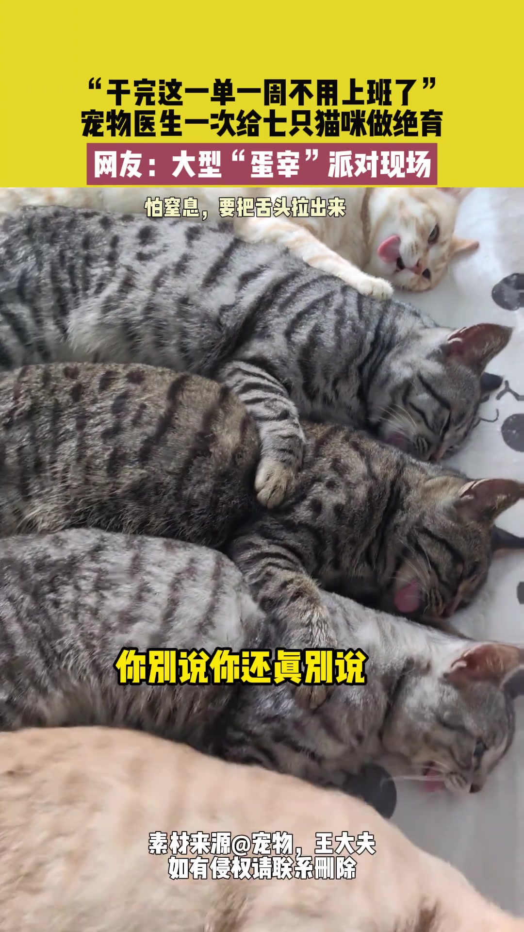干完这一单一周不用上班了