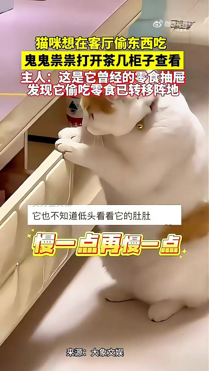 猫咪想在客厅偷吃东西，鬼鬼祟祟打开茶几柜子查看