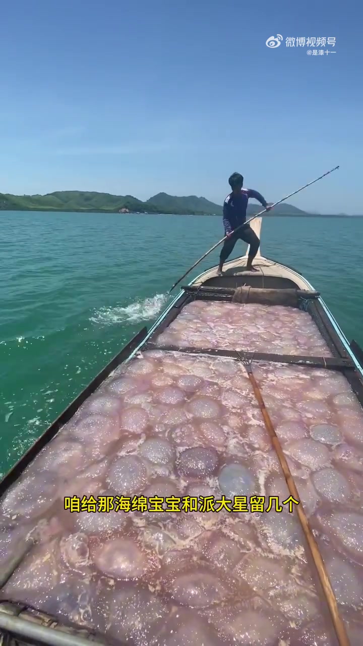 水母抓不完，根本抓不完呐！！