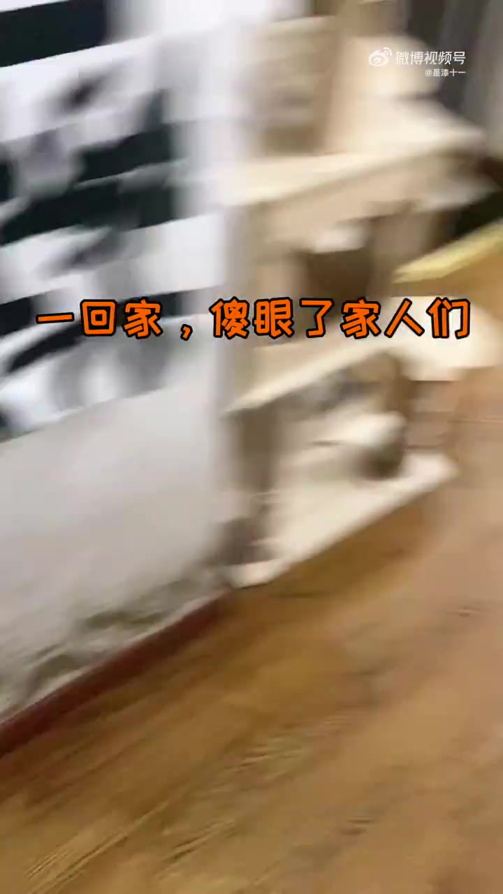 一开门人傻了，家里进海了这是