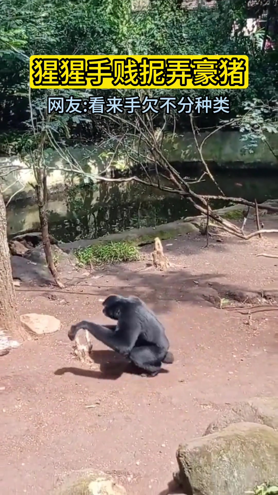 看来手欠是真的不分种类啊