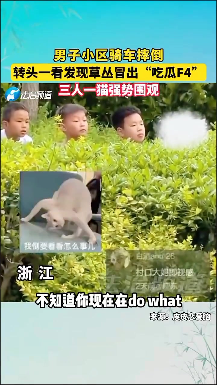 男子小区骑车摔倒转头一看发现草丛冒出“吃瓜F4”