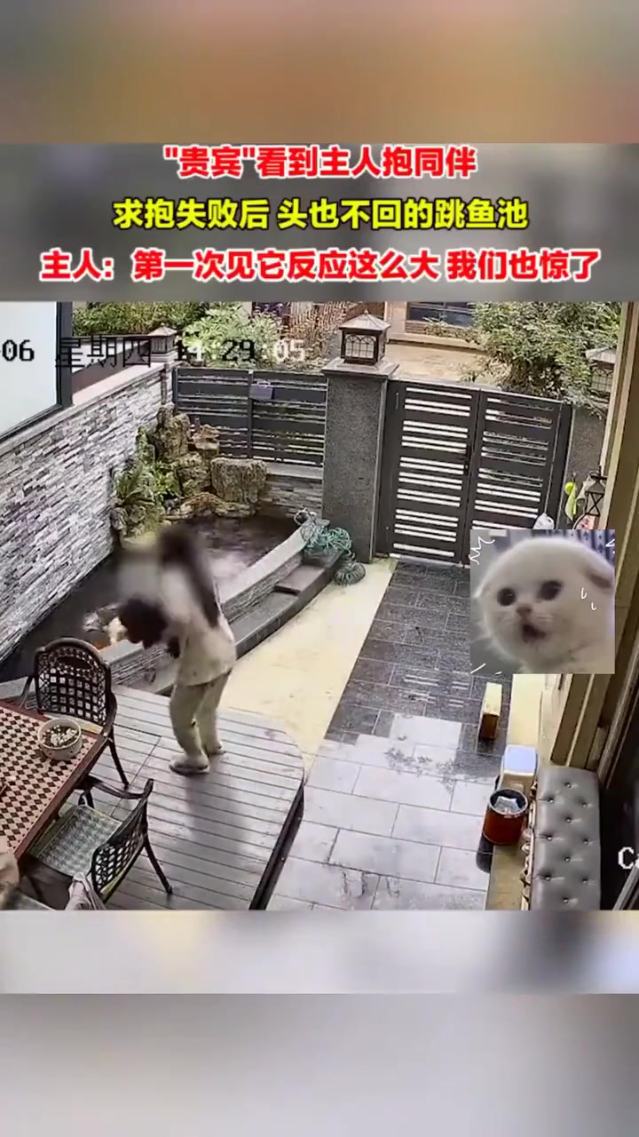 狗：失去宠爱了，不活了