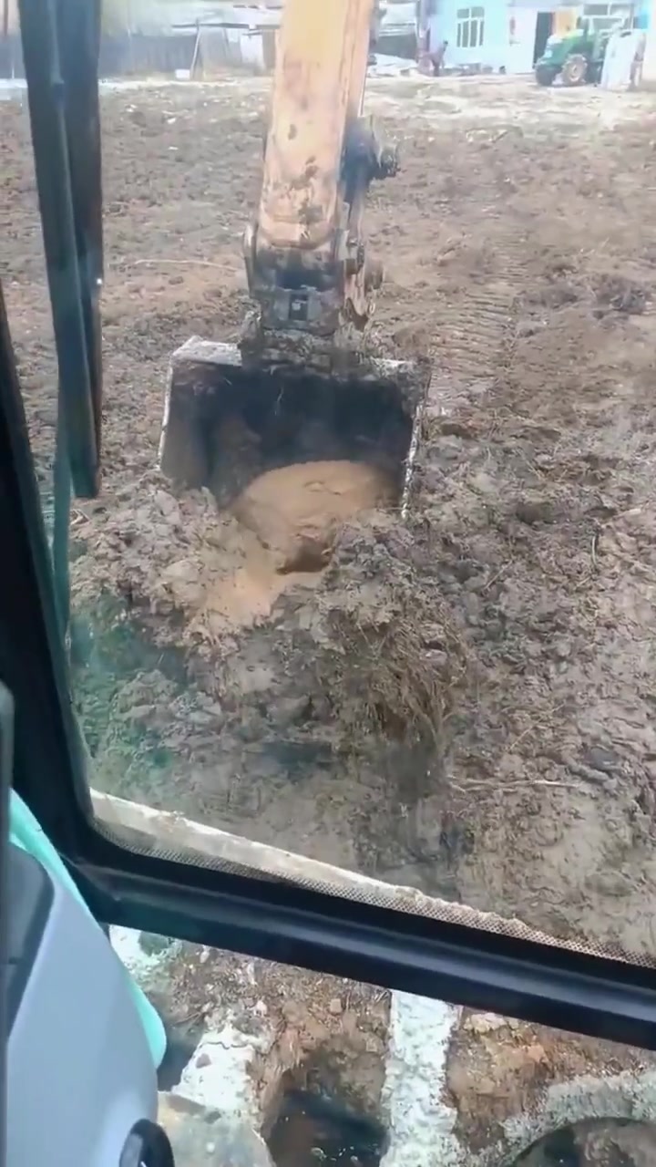 这是挖了个太岁出来这么大个的值多少钱呢能吃的嘛