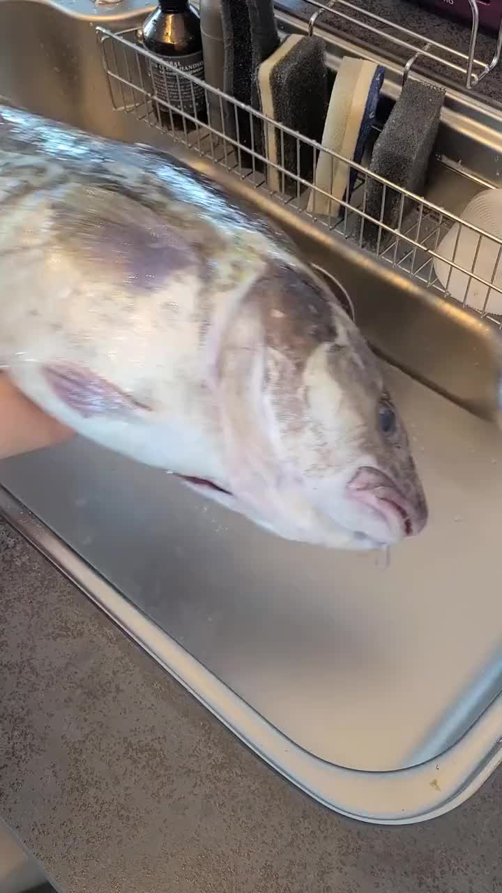 日料中的一鱼多吃