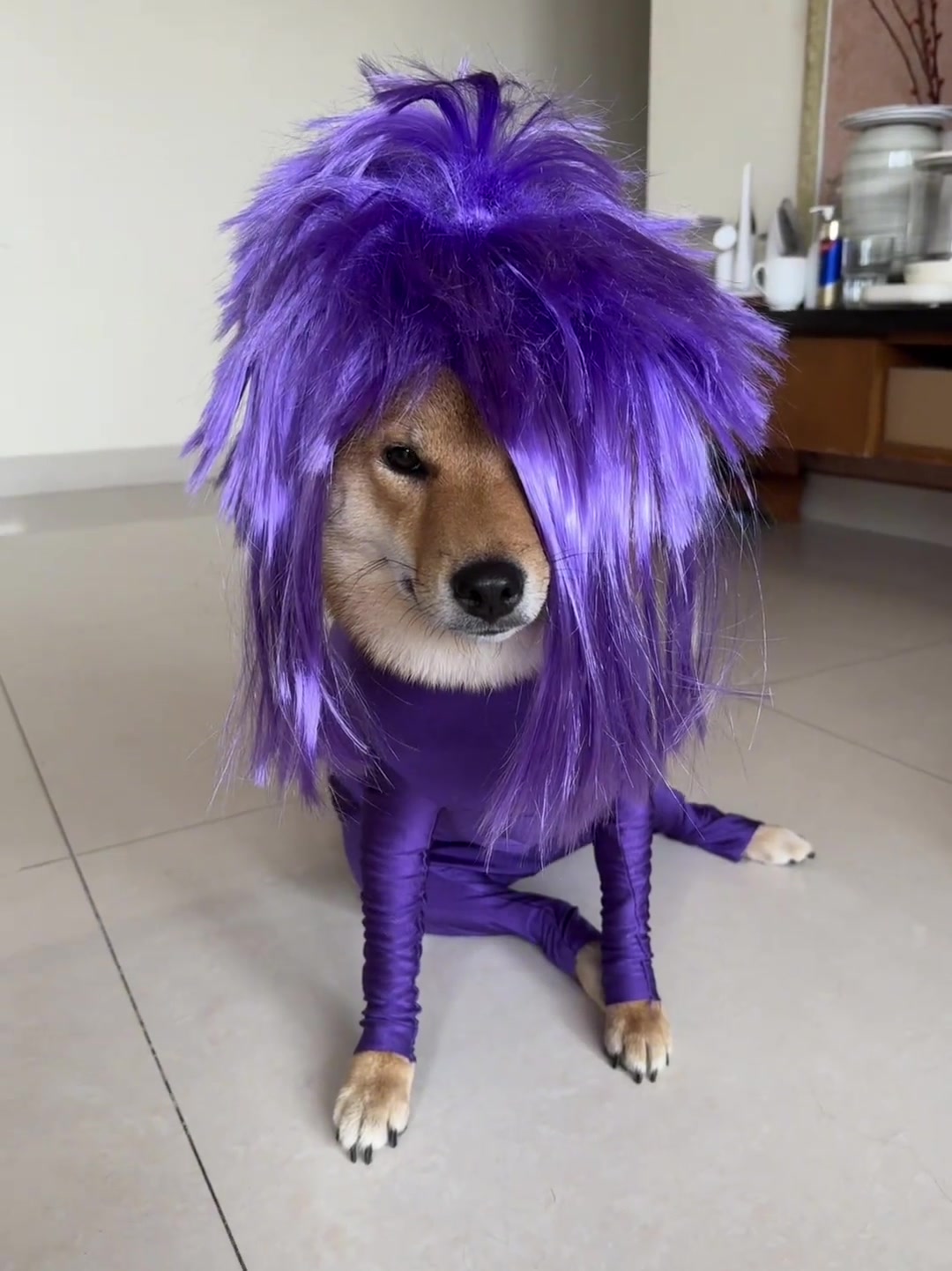 不是，你怎么说服它拍的