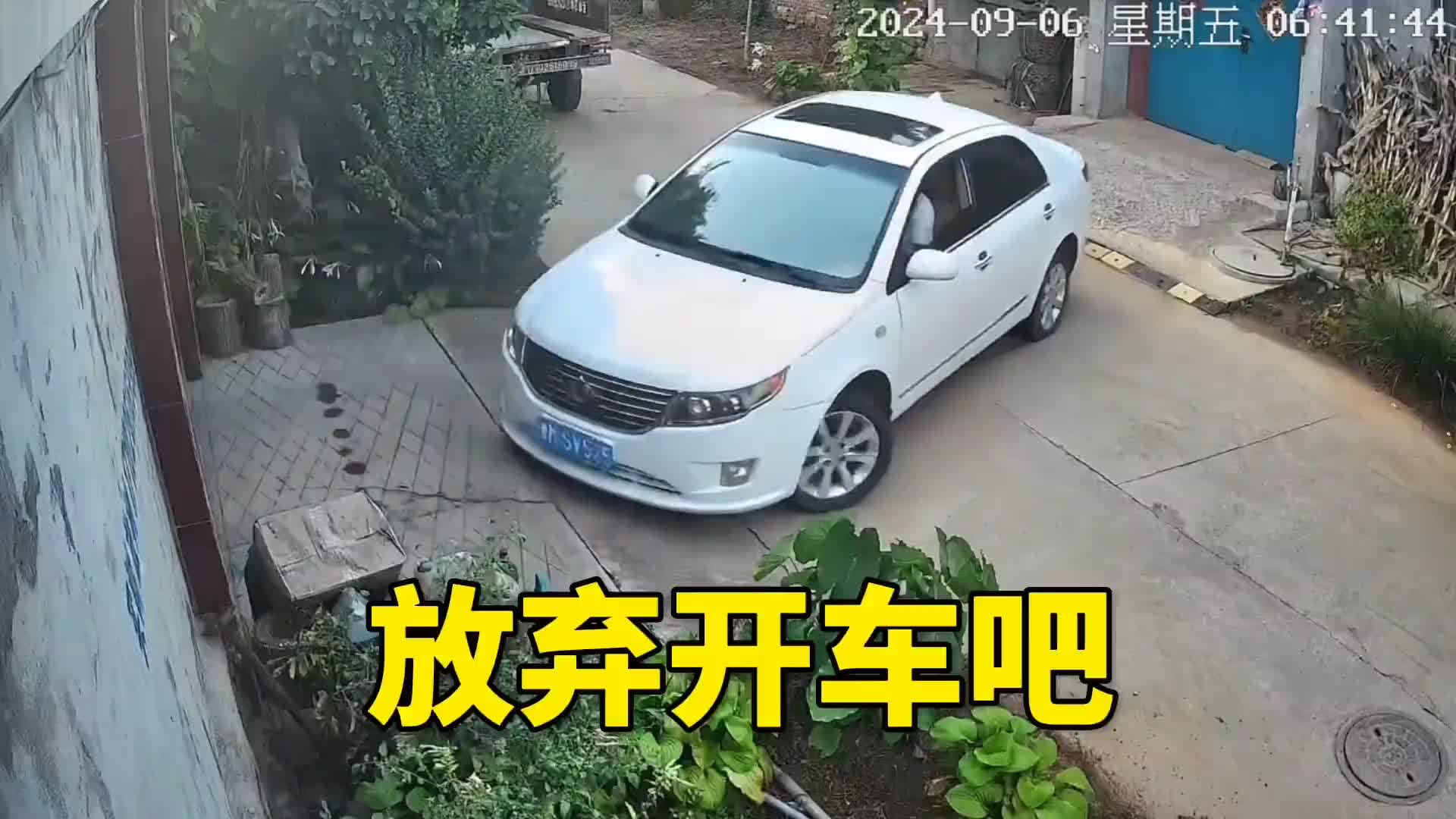 有证不代表会开车，这些人治好了也流口水！