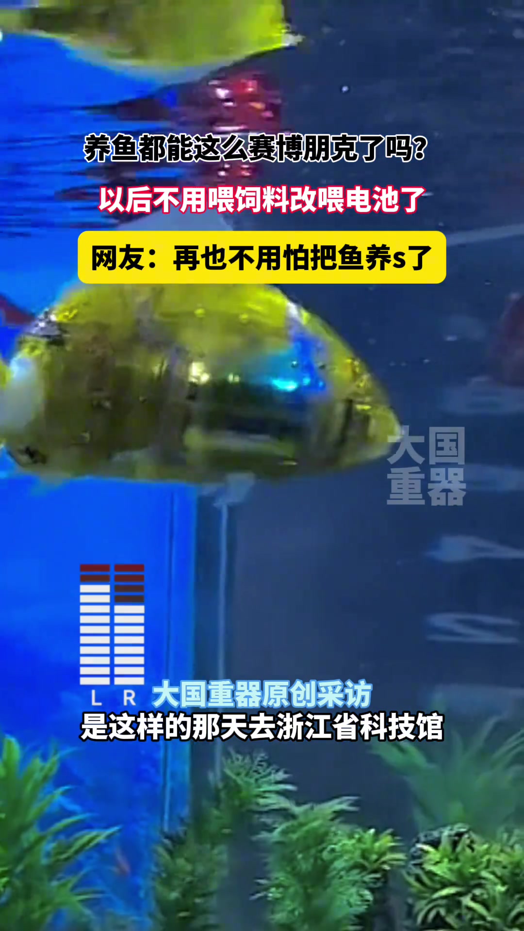 这应该算电子宠物吧！