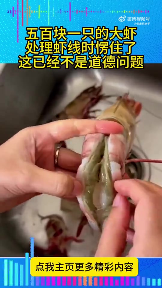 小伙五百块买了一只大虾，处理虾线时愣住了