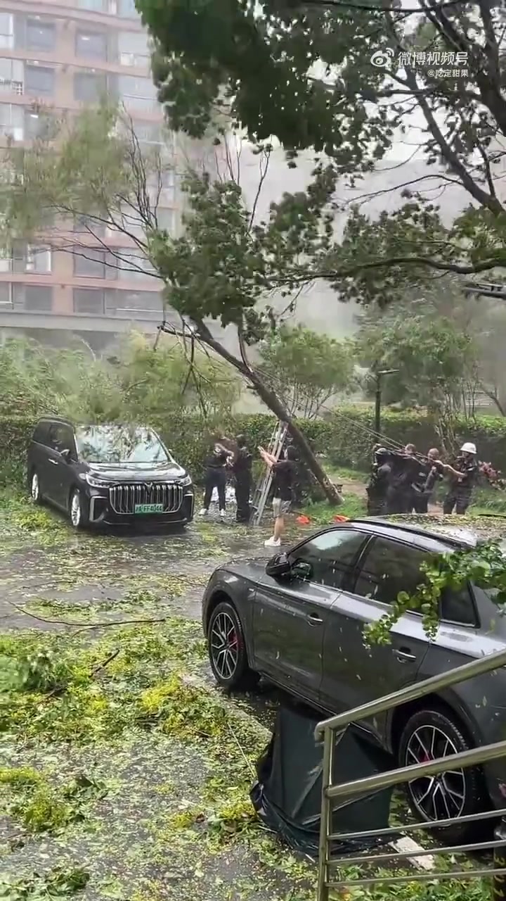 生命与汽车，何者更珍贵