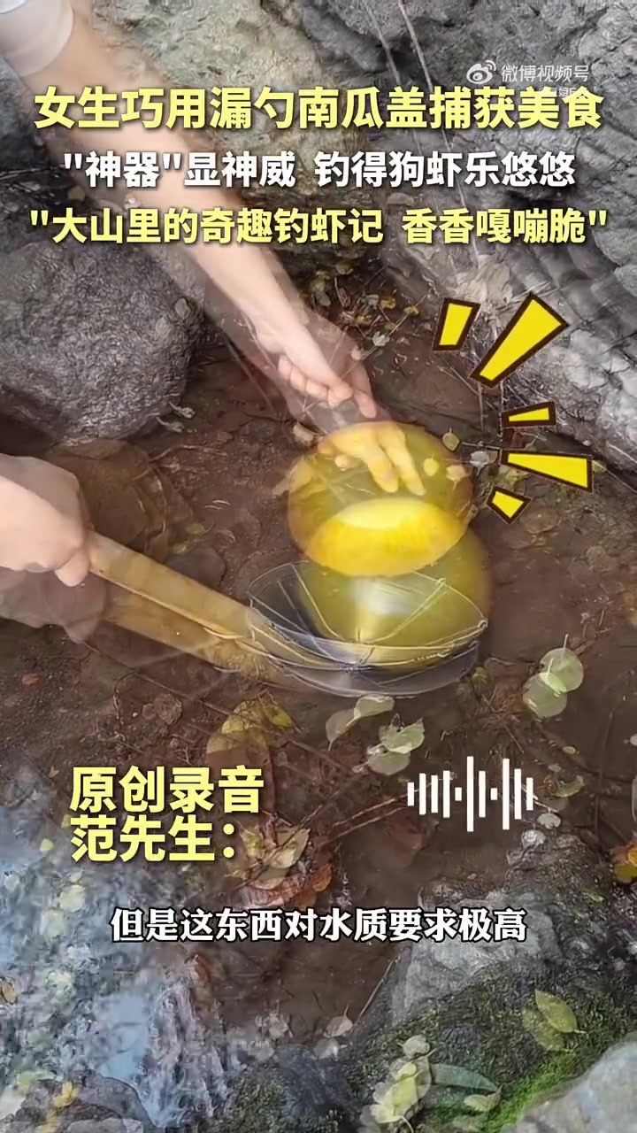 钓鱼佬真的是什么东西都能做成钓饵啊！