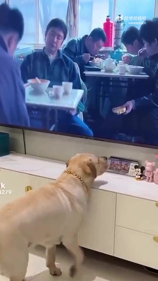 看把狗子馋的