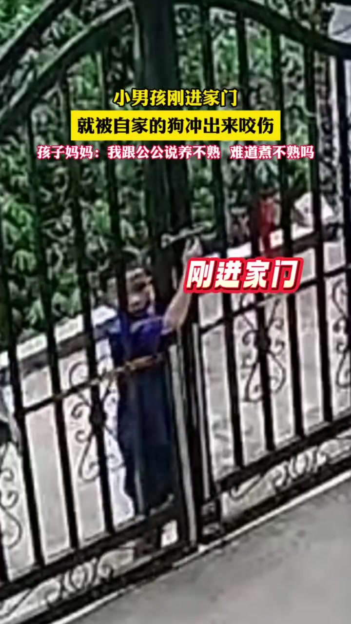 小男孩刚进家门，就被自家狗冲出来咬伤