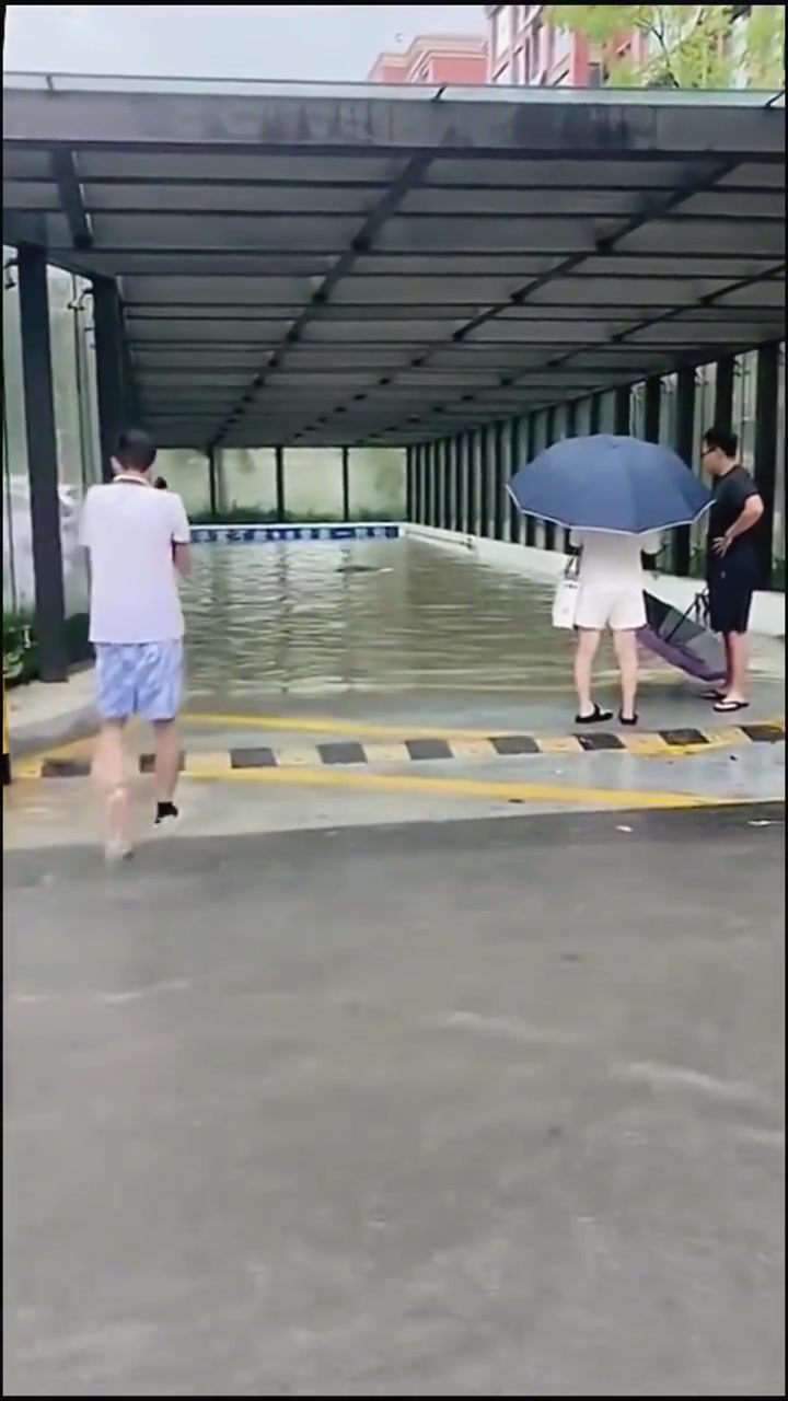 这种情况，是停车场赔偿，还是保险赔偿，不懂，请大家有懂的说下