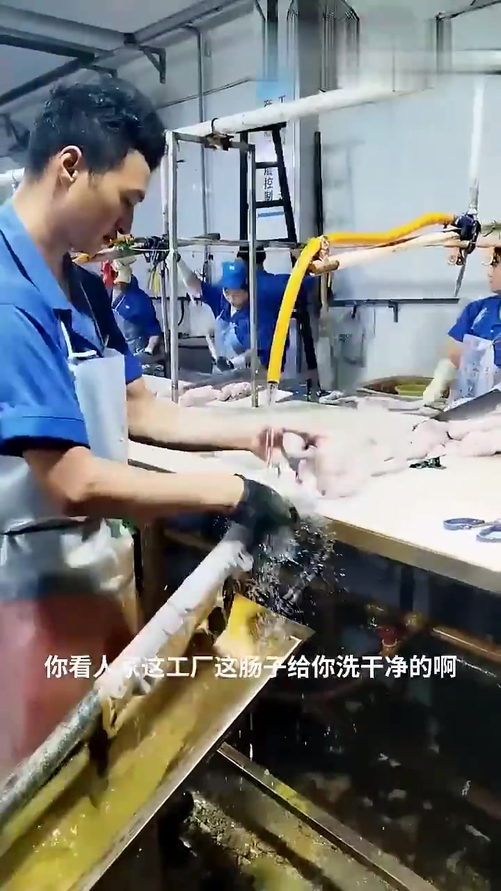 原来工厂是这样洗肥肠的！怪不得这么干净！