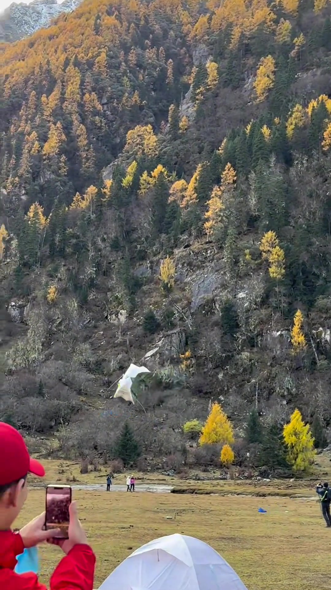 这是谁的窝飞了山上禁止放风筝！！！