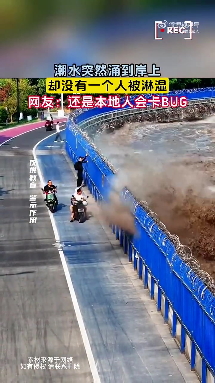 一看这些老哥找掩体的手法就是经验老道了！