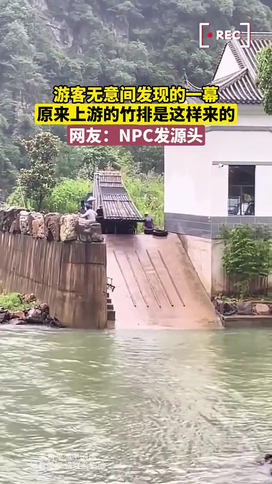 游客无意间发现的一幕，原来上游的竹排是这样来的