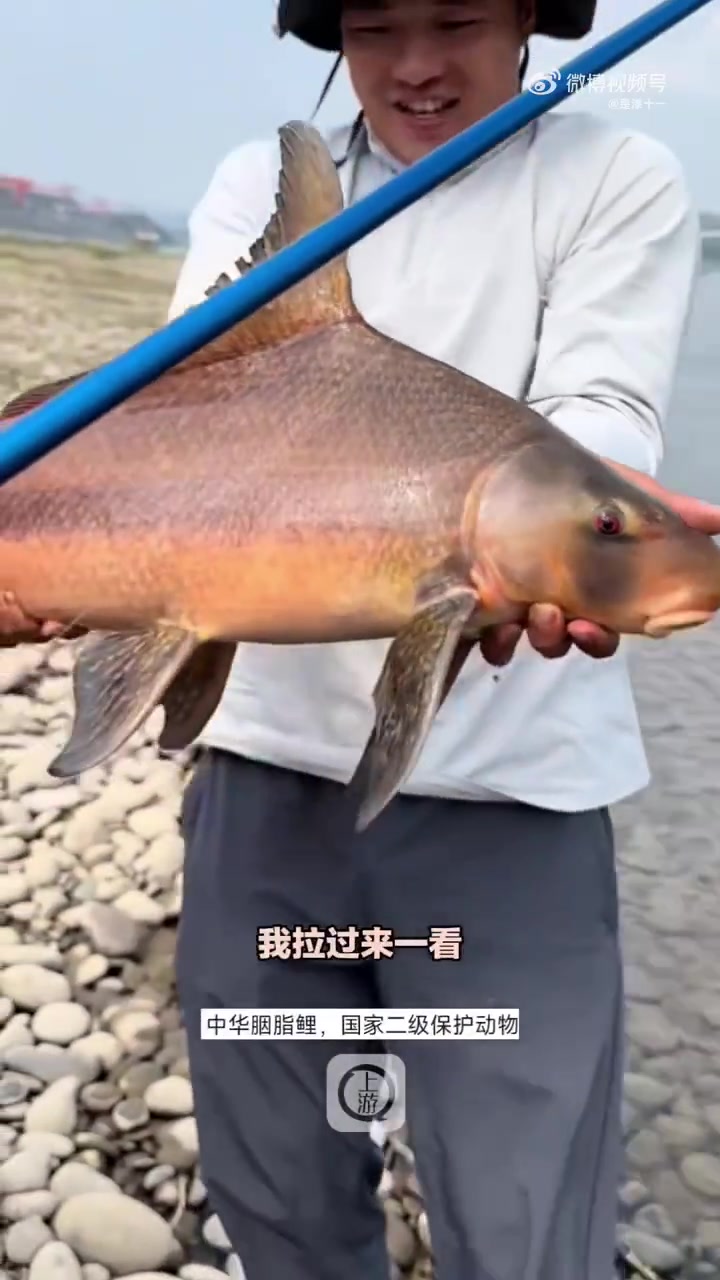 钓鱼佬你记住，不是你放了我，而是我饶了你一命！