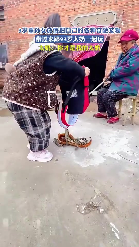 太奶：你才是我姑奶奶！黄鳝，蟾蜍还能理解这个鳄鱼又是什么鬼