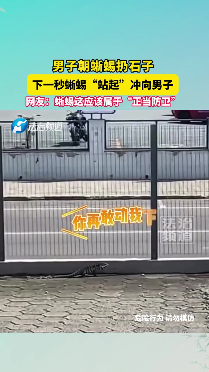 男子朝蜥蜴扔石子，下一秒蜥蜴“站起”冲向男子