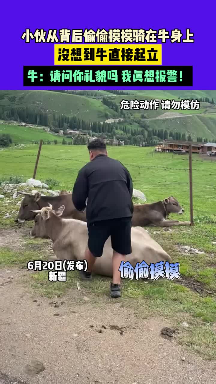 小伙从背后偷偷摸摸骑在牛身上，没想到牛直接起立