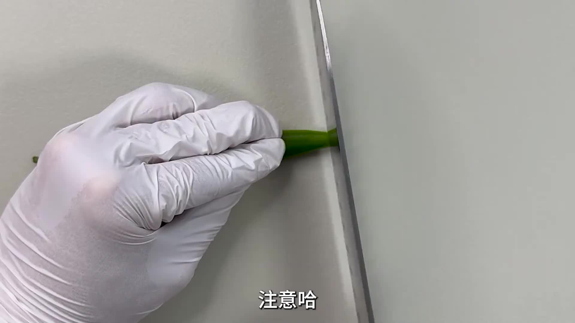 吃辣最强生物是什么