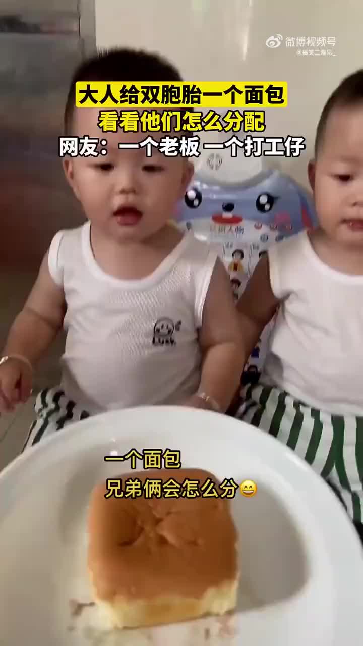 一个面包看下双胞胎兄弟俩自己怎么分！！